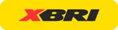 XBRI